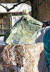 Белый фестиваль - 2010