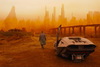 Куда пойти в выходные: «Бегущий по лезвию 2049», выставка «АРТАНАВЬ», игры высшей хоккейной лиги и ещё 9 идей
