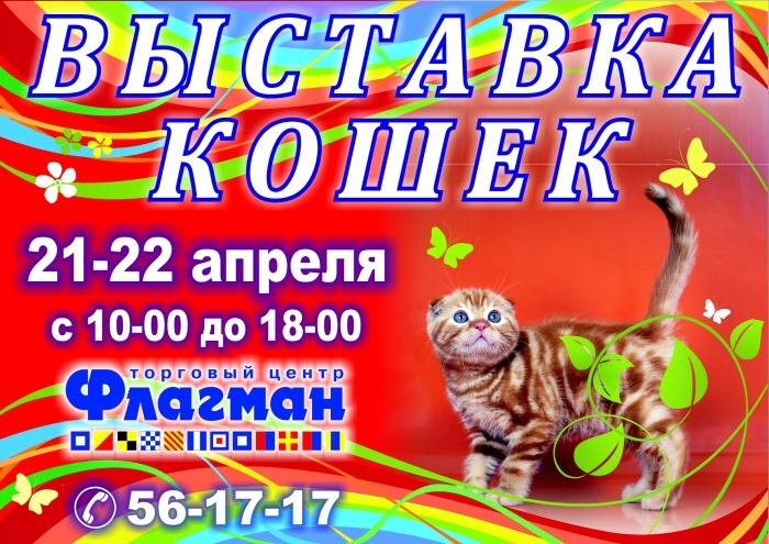 Выставка кошек ижевск. Выставка кошек афиша. Флаер выставка кошек. Выставкам кошек орёл афиша. Афиша рисунки детей выставка кошек.