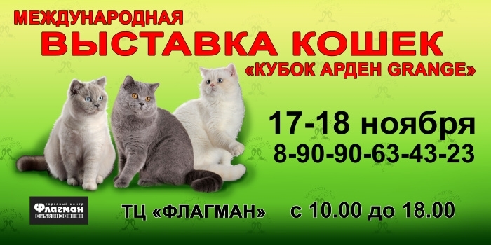 Афиша Ижевска — Международная выставка кошек «Кубок Arden Grange»