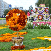 Афиша Ижевска — Праздник цветов 2014