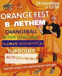 Афиша Ижевска — Orange Fest