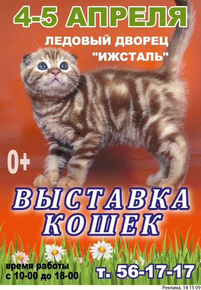 Афиша Ижевска — Международная выставка кошек «Апрельская капель»