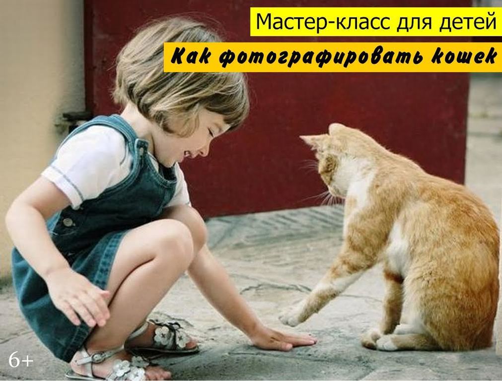 Афиша Ижевска — Мастер-класс для детей «Как фотографировать кошек»