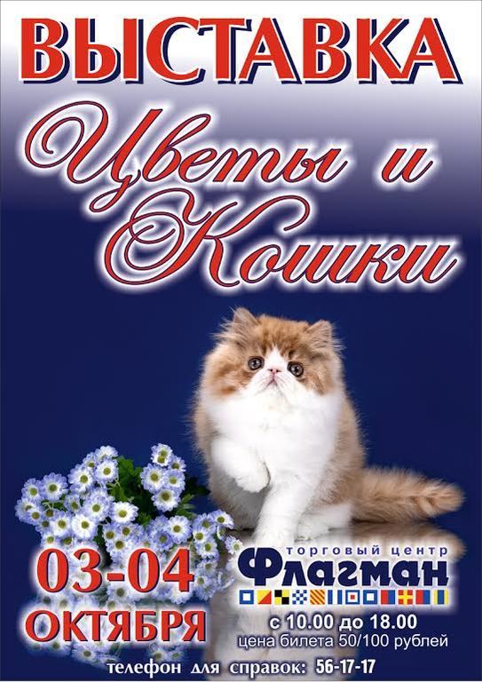 Афиша Ижевска — Выставка цветов и кошек