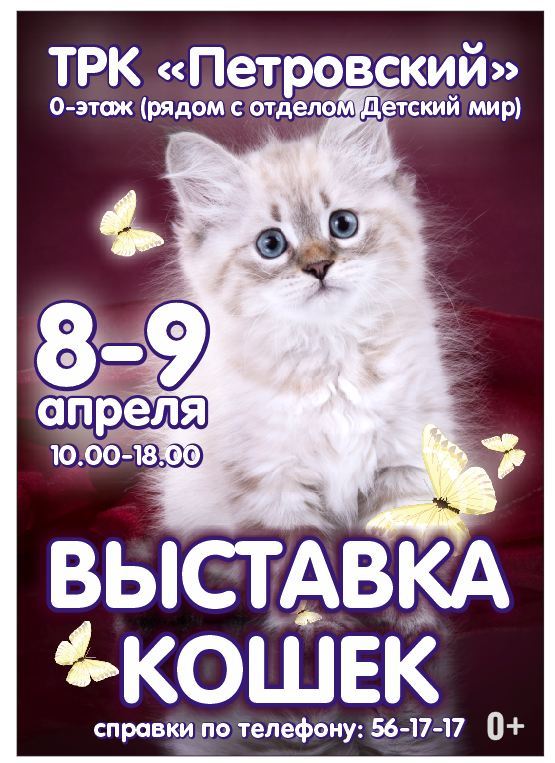 Афиша Ижевска — Весенняя выставка кошек