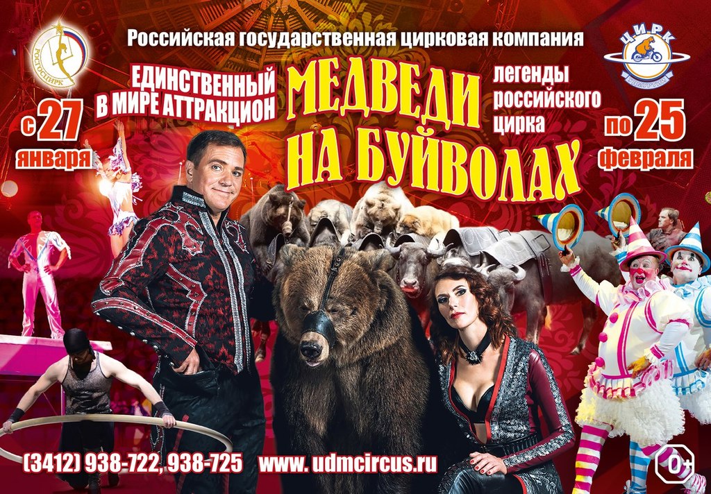 Афиша Ижевска — Цирк «Медведи на буйволах»