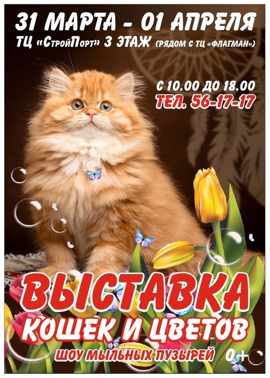 Афиша Ижевска — Выставка кошек и цветов