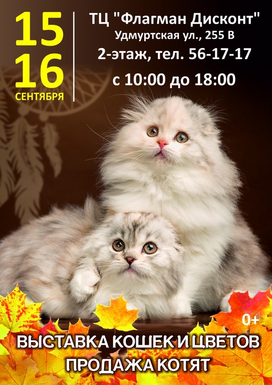 Афиша Ижевска — Выставка кошек и цветов