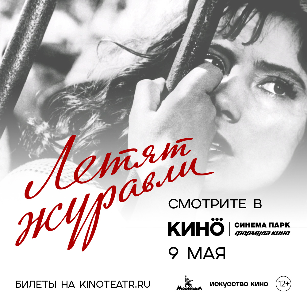 Оператор картины летят журавли