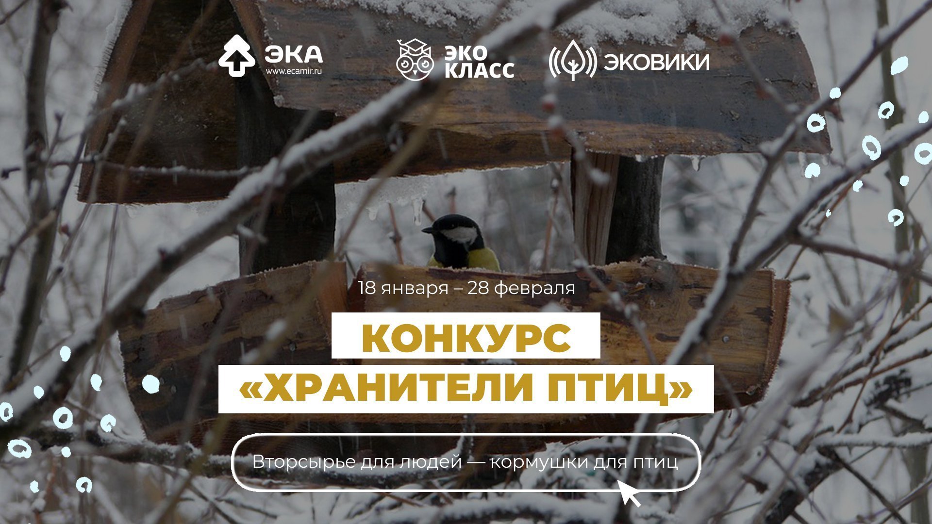 Афиша Ижевска — Акция «Хранители птиц»