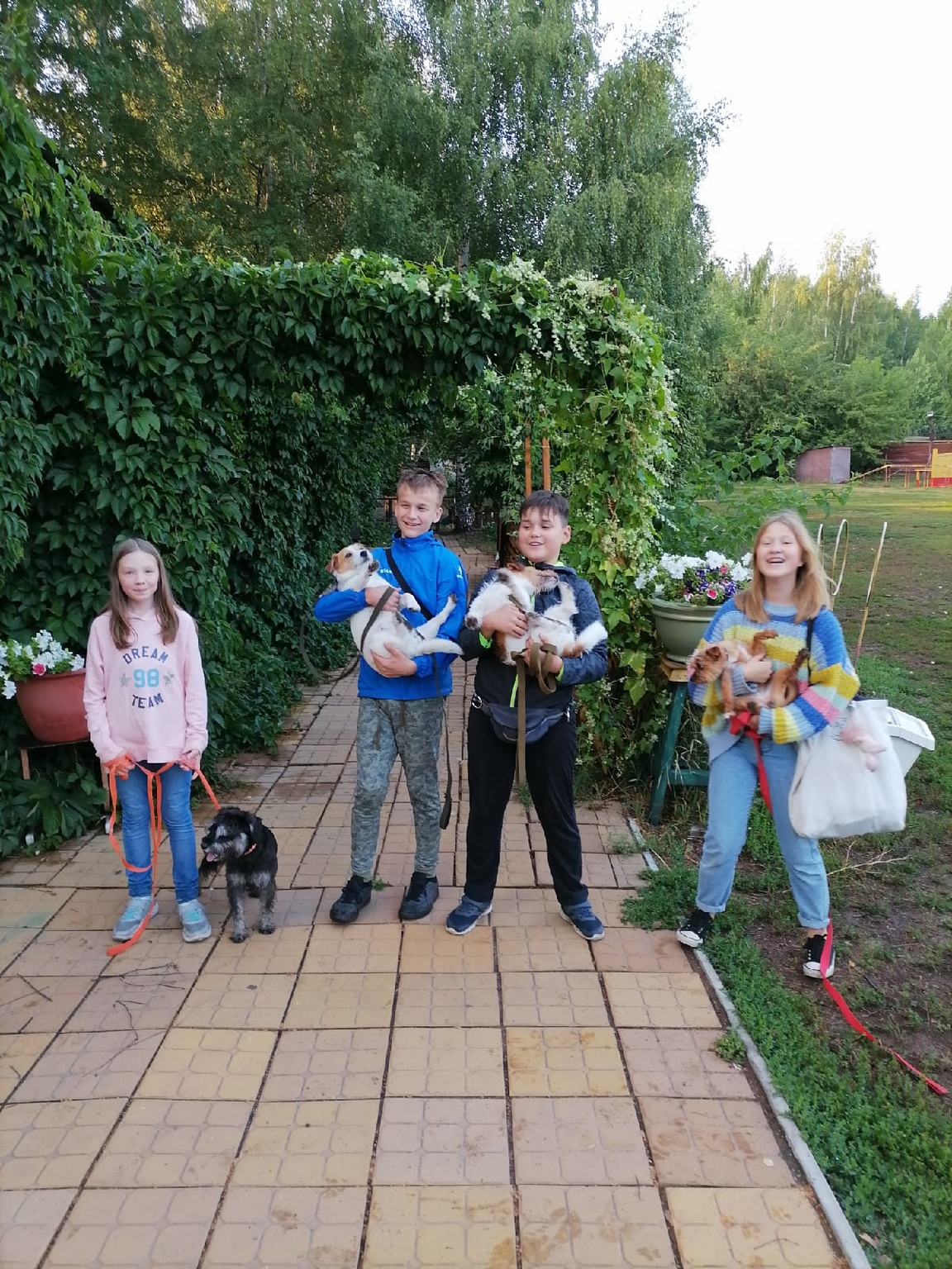 Афиша Ижевска — Набор в детскую группу по дрессировке собак