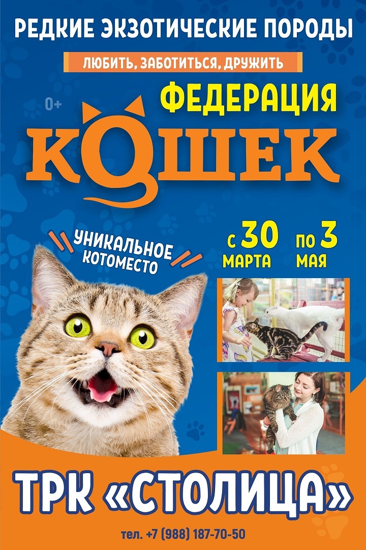 Афиша Ижевска — Выставка «Федерация кошек»