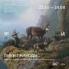 Выставка «Лики природы»