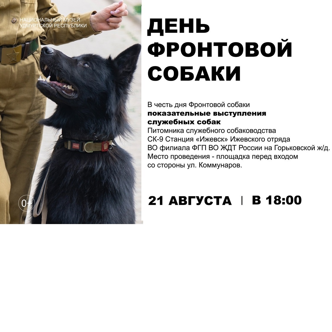 День фронтовой собаки