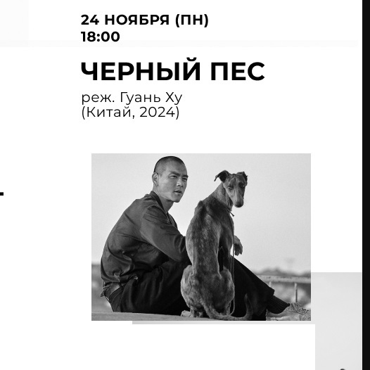 Каннский киномарафон в «АР»