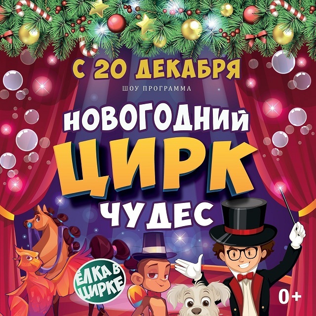 Новогодний цирк чудес