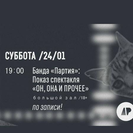 Спектакль «Он, Она и прочее»