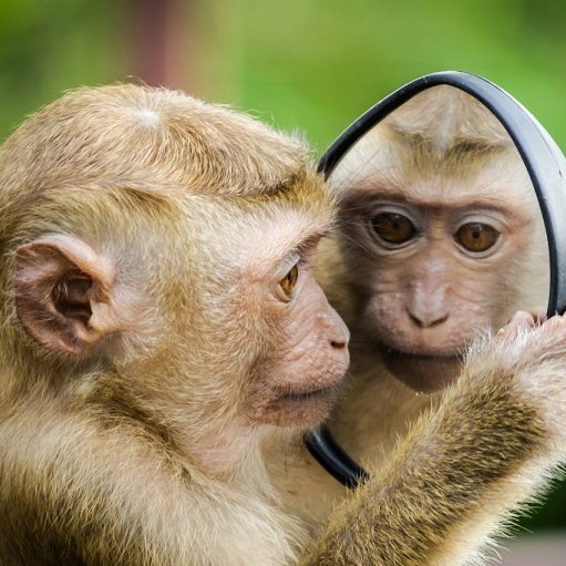 Паблик-ток «Смыслы жизни с экрана»