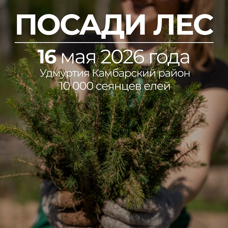 Посадка леса в Камбарском районе
