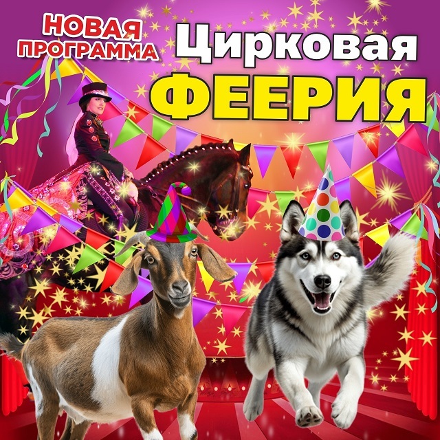 Цирковая феерия