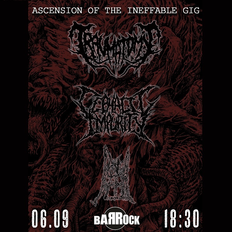 Концерт группы «Traumatomy»
