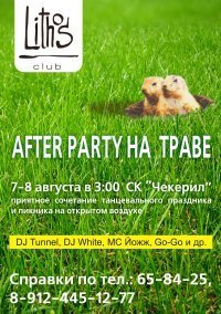 Афиша Ижевска — After party на траве