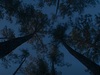 Афиша Ижевска — Всё закончится