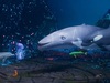 Афиша Ижевска — Подводная братва. На страже рифа Афиша Ижевска — Подводная братва. На страже рифа