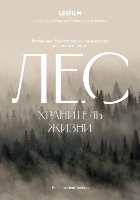 Лес. Хранитель жизни