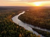 Афиша Ижевска — Лес. Хранитель жизни