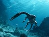 Афиша Ижевска — Морские динозавры 3D: Путешествие в доисторический мир