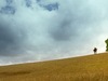 Афиша Ижевска — Декан Спэнли
