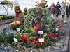 Афиша Ижевска — «Цветы Удмуртии» 2012: символ года сложили из хризантем