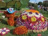 Афиша Ижевска — Праздник цветов – это вспышка лета