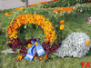 Афиша Ижевска — Ижевск готовится к Празднику цветов