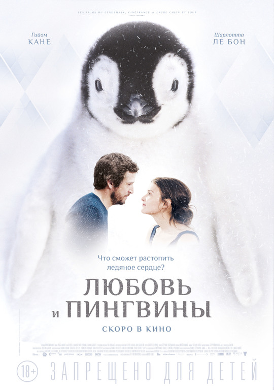 Афиша Ижевска — Любовь и пингвины