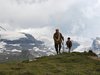 Афиша Ижевска — Белль и Себастьян