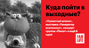 Куда пойти в выходные: «Пушистый шпион», выставка «Генератор вселенных», концерт группы «Пилот» и ещё 6 идей