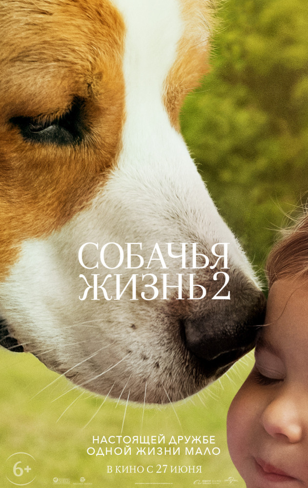Афиша Ижевска — Собачья жизнь 2