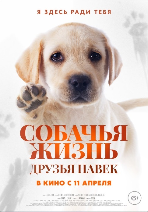 Афиша Ижевска — Собачья жизнь: Друзья навек