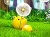 Афиша Ижевска — Тайная жизнь животных: Пернатые приключения