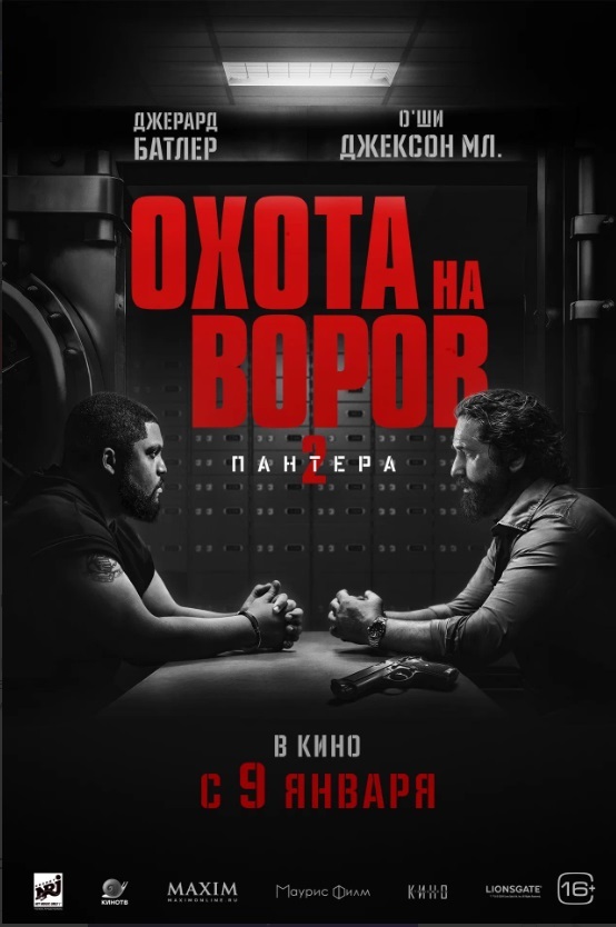 Охота на воров 2: Пантера