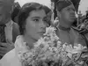 Афиша Ижевска — Летят журавли