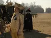 Афиша Ижевска — Падение короны