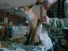 Афиша Ижевска — Правила Филиппа
