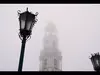 Афиша Ижевска — Лёша из Лавры. Погребающий странных