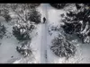 Афиша Ижевска — Лёша из Лавры. Погребающий странных
