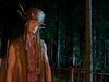 Афиша Ижевска — Сказки тёмного леса. Ворожея