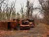 Афиша Ижевска — Воля твоя